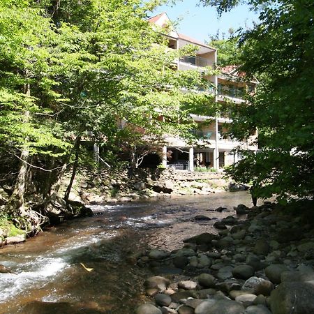Park Place Condos Gatlinburg Bagian luar foto